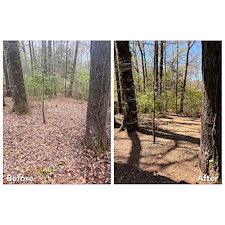 Leaf-Cleanup-and-Removal-in-Oxford-MS 1